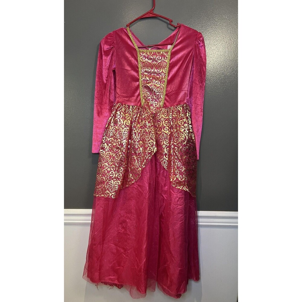 Princess Costume Dress Girls Medium Large Long Sleeve Fairytale Halloween Gown